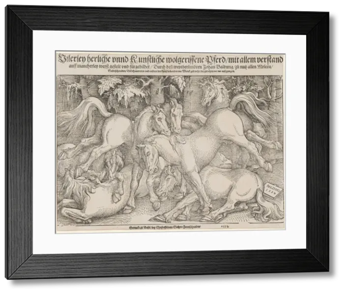 Framed Print : Fighting stallions, 1534. Creator: Baldung (Baldung Grien), Hans (1484-1545) Framed Print : Fighting stallions, 1534. Creator: Baldung (Baldung Grien), Hans (1484-1545)