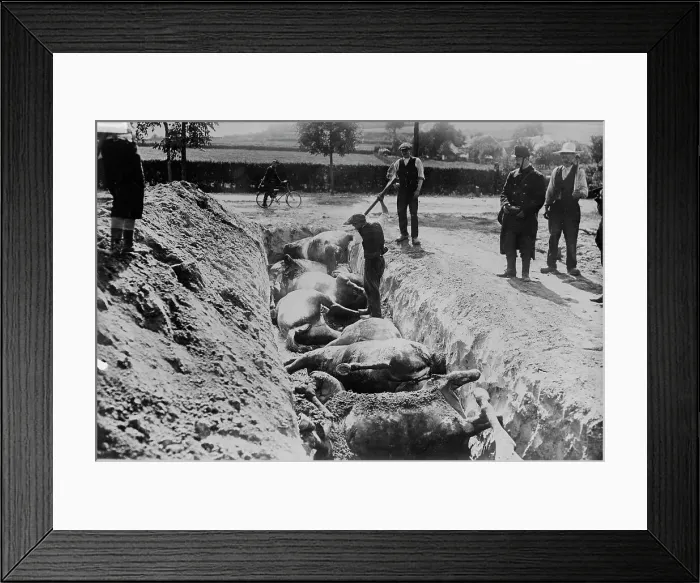 Framed Print : Burying horses, Battlefield of Haelen, 1914. Creator: Bain News Service Framed Print : Burying horses, Battlefield of Haelen, 1914. Creator: Bain News Service