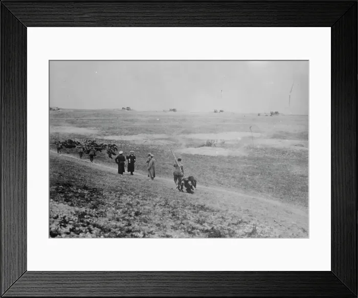 Framed Print : German Artillery near Verdun, between 1914 and c1915. Creator: Bain News Service Framed Print : German Artillery near Verdun, between 1914 and c1915. Creator: Bain News Service