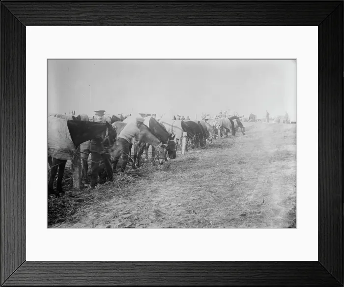 Framed Print : British at Etaples, France, Feb. 1915. Creator: Bain News Service Framed Print : British at Etaples, France, Feb. 1915. Creator: Bain News Service