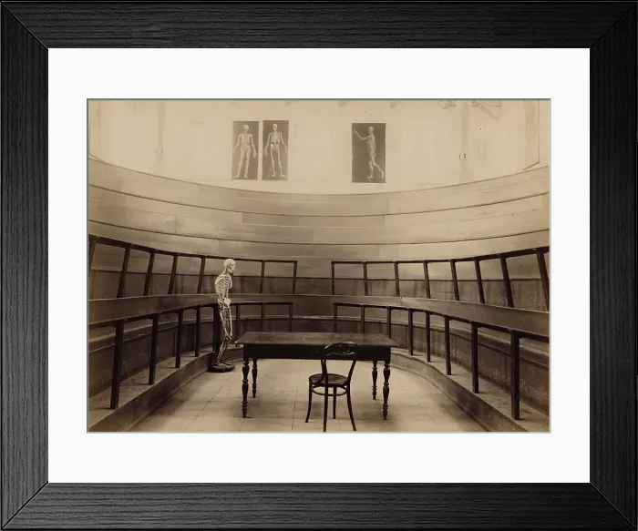 Framed Print : Part of the amphitheatre of the two-light anatomical auditorium, 1890. Creator: Unknown Framed Print : Part of the amphitheatre of the two-light anatomical auditorium, 1890. Creator: Unknown