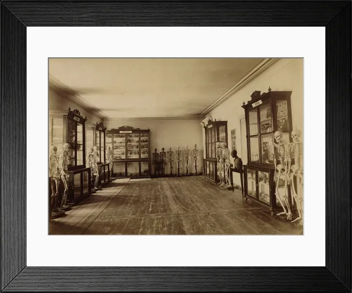Framed Print : Part of the anatomical museum, 1890. Creator: Unknown Framed Print : Part of the anatomical museum, 1890. Creator: Unknown