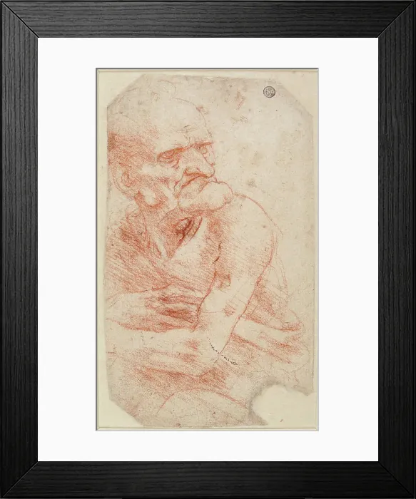 Framed Print : Study of an Old Man, Second half of the 15th century. Creator: Leonardo da Vinci (1452-1519) Framed Print : Study of an Old Man, Second half of the 15th century. Creator: Leonardo da Vinci (1452-1519)