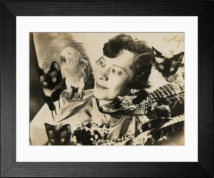 Framed Print : Tilla Durieux with exotic animals, 1920s. Creator: Stone, Sasha (1895-1940) Framed Print : Tilla Durieux with exotic animals, 1920s. Creator: Stone, Sasha (1895-1940)