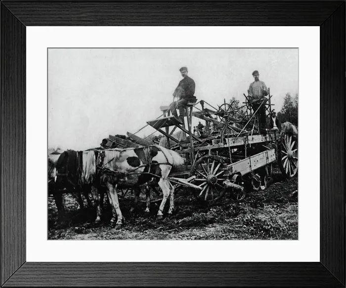 Framed Print : West Siberian Railroad. Earthworks Constructed with the New-Era Machine, 1892-1896. Creator: Unknown. West Siberian Railroad. Earthworks Constructed with the New-Era Machine, 1892-1896. Creator: Unknown Framed Print : West Siberian Railroad. Earthworks Constructed with the New-Era Machine, 1892-1896. Creator: Unknown. West Siberian Railroad. Earthworks Constructed with the New-Era Machine, 1892-1896. Creator: Unknown