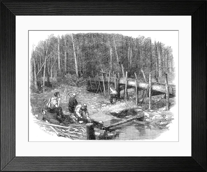 Framed Print : The Chaudière Gold-Fields, Canada: the diggings on a tributary of the Chaudière, 1864. Creator: Mason Jackson