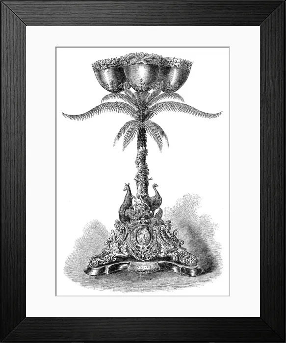 Framed Print : Wedding gift to the Princess of Wales from the ladies of Victoria, Australia, 1864. Creator: Unknown Framed Print : Wedding gift to the Princess of Wales from the ladies of Victoria, Australia, 1864. Creator: Unknown
