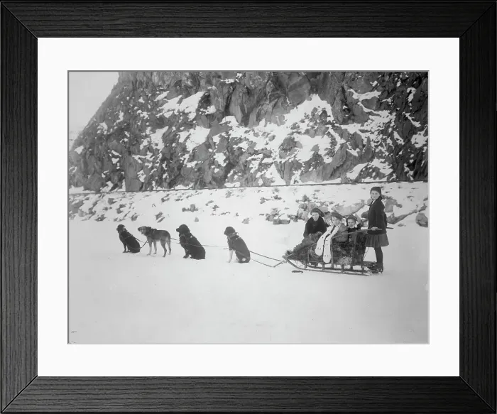 Framed Print : Traveling by dog sled, between c1900 and 1917. Creator: Unknown Framed Print : Traveling by dog sled, between c1900 and 1917. Creator: Unknown