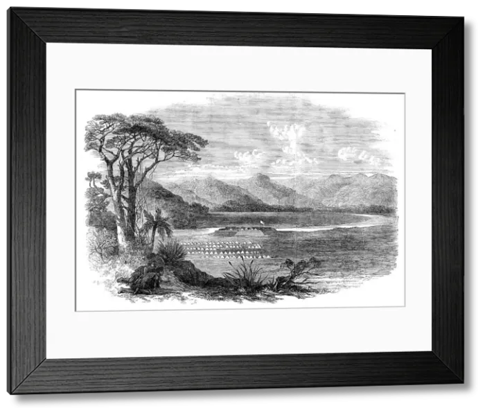 Framed Print : Sketches from New Zealand: the Queen's Redoubt, on the Waikato, HQ of Lieut.-Gen. Cameron, 1864. Creator: Unknown Framed Print : Sketches from New Zealand: the Queen's Redoubt, on the Waikato, HQ of Lieut.-Gen. Cameron, 1864. Creator: Unknown