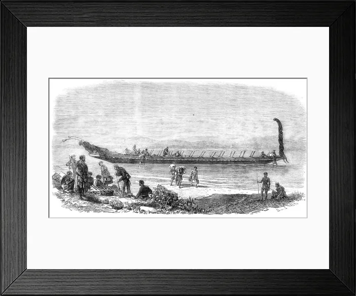 Framed Print : Maori war-canoe at Tauranga, New Zealand, 1864. Creator: Unknown Framed Print : Maori war-canoe at Tauranga, New Zealand, 1864. Creator: Unknown