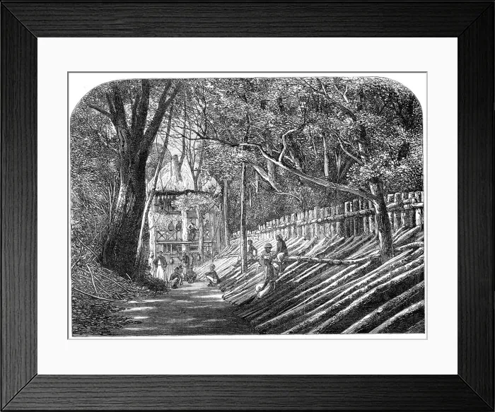 Framed Print : Mode of capturing wild elephants in Ceylon: an elephant kraal, with the grand stand'... 1864. Creator: Unknown. Mode of capturing wild elephants in Ceylon: an elephant kraal, with the grand stand'... 1864. Creator: Unknown Framed Print : Mode of capturing wild elephants in Ceylon: an elephant kraal, with the grand stand'... 1864. Creator: Unknown. Mode of capturing wild elephants in Ceylon: an elephant kraal, with the grand stand'... 1864. Creator: Unknown