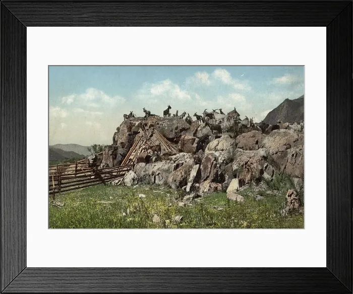 Framed Print : Altai Dwelling (Chaadyr), Katun River Valley, 1911-1913. Creator: Sergei Ivanovich Borisov Framed Print : Altai Dwelling (Chaadyr), Katun River Valley, 1911-1913. Creator: Sergei Ivanovich Borisov