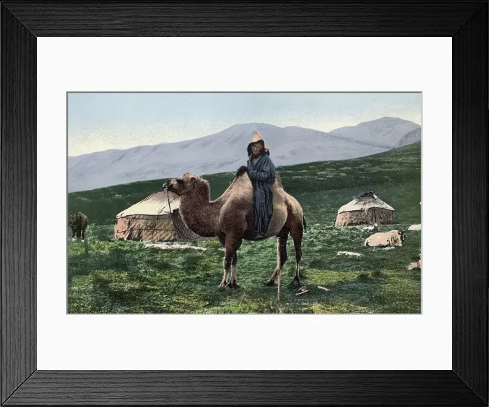 Framed Print : Kazakh on a Camel with Yurts in the Background, Valley of the Arakan River, a Tributary... 1911-13. Creator: Sergei Ivanovich Borisov Framed Print : Kazakh on a Camel with Yurts in the Background, Valley of the Arakan River, a Tributary... 1911-13. Creator: Sergei Ivanovich Borisov