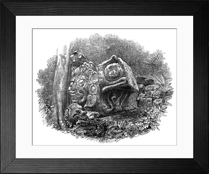 Framed Print : The Ruins of Copan, Central America: a head, with other sculptured stones, 1864. Creator: Unknown Framed Print : The Ruins of Copan, Central America: a head, with other sculptured stones, 1864. Creator: Unknown
