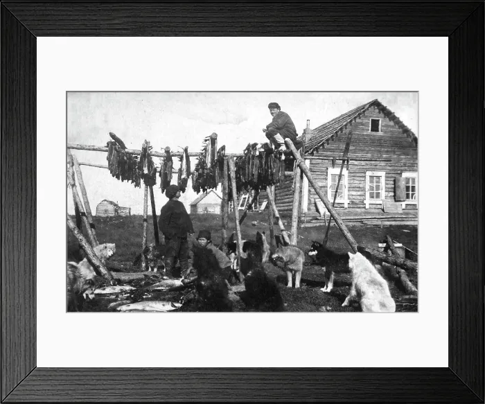 Framed Print : A log house covered with bark. Near the house there was a fish drying facility, 1910-1929. Creator: Ivan Emelianovich Larin Framed Print : A log house covered with bark. Near the house there was a fish drying facility, 1910-1929. Creator: Ivan Emelianovich Larin