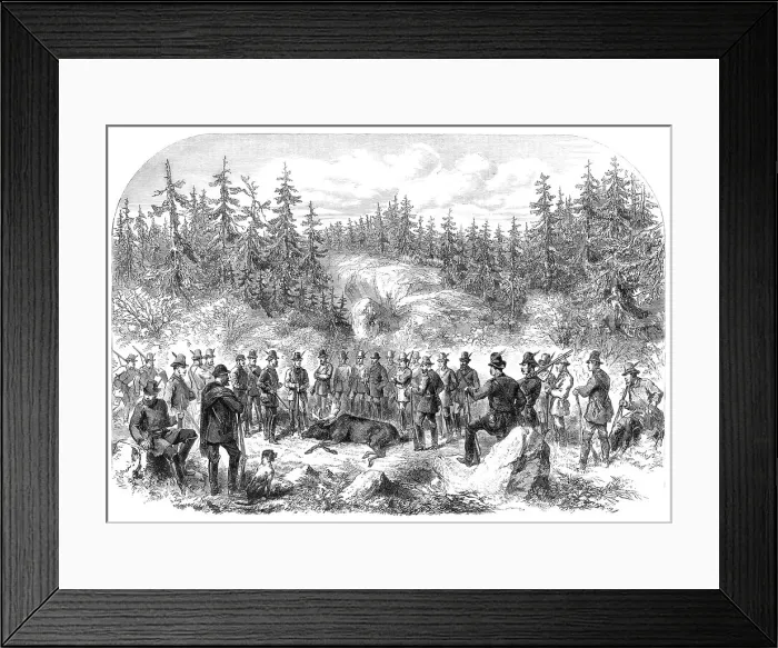 Framed Print : Visit of the Prince and Princess of Wales to Sweden: elk-shooting in the Forest of Högtorp…, 1864. Creator: Unknown Framed Print : Visit of the Prince and Princess of Wales to Sweden: elk-shooting in the Forest of Högtorp…, 1864. Creator: Unknown