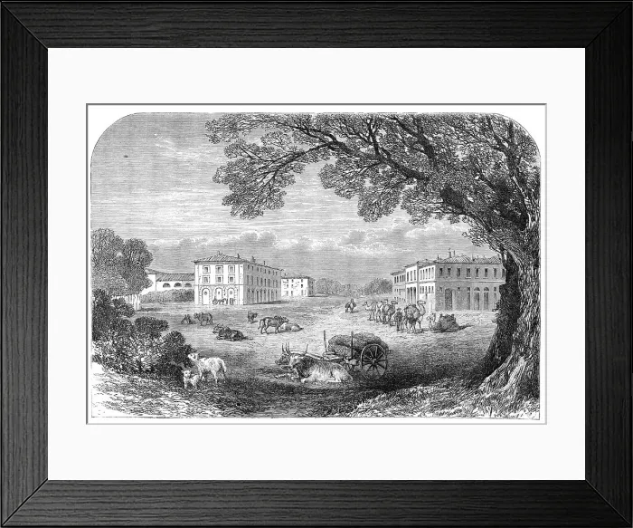Framed Print : Il Gombo, near Pisa, the Acclimatisation Farm of His Majesty Victor Emmanuel, 1864. Creator: Unknown Framed Print : Il Gombo, near Pisa, the Acclimatisation Farm of His Majesty Victor Emmanuel, 1864. Creator: Unknown