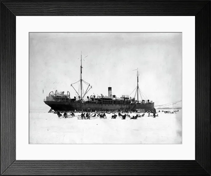 Framed Print : A ship in the ice of Avacha Bay; On the ice there are dog sleds to unload the ship, 1910-1929. Creator: Ivan Emelianovich Larin Framed Print : A ship in the ice of Avacha Bay; On the ice there are dog sleds to unload the ship, 1910-1929. Creator: Ivan Emelianovich Larin