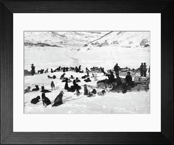 Framed Print : Loaded dog sleds on Petropavlovsk-Kamchatsky Square, 1910-1929. Creator: Ivan Emelianovich Larin Framed Print : Loaded dog sleds on Petropavlovsk-Kamchatsky Square, 1910-1929. Creator: Ivan Emelianovich Larin