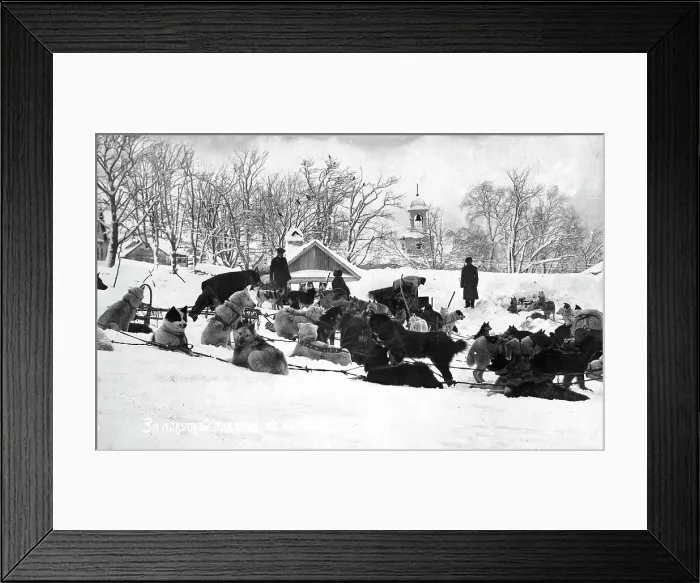 Framed Print : Petropavlovsk-Kamchatsky in winter; dog sleds against the backdrop of the Peter and Paul... 1910-19 Creator: Ivan Emelianovich Larin Framed Print : Petropavlovsk-Kamchatsky in winter; dog sleds against the backdrop of the Peter and Paul... 1910-19 Creator: Ivan Emelianovich Larin