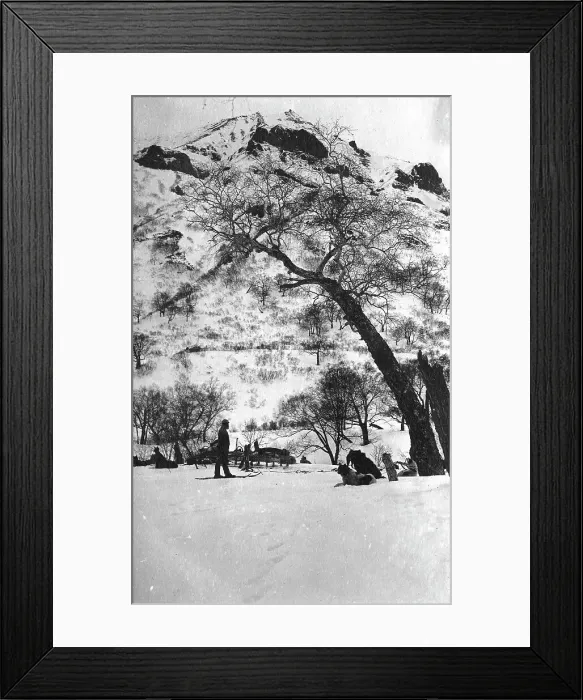 Framed Print : Dog sleds against the backdrop of the Kamchatka landscape, 1910-1929. Creator: Ivan Emelianovich Larin Framed Print : Dog sleds against the backdrop of the Kamchatka landscape, 1910-1929. Creator: Ivan Emelianovich Larin