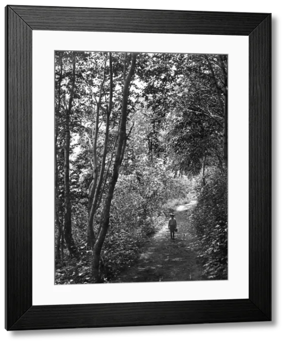 Framed Print : Road in the forest, 1910-1929. Creator: Ivan Emelianovich Larin Framed Print : Road in the forest, 1910-1929. Creator: Ivan Emelianovich Larin