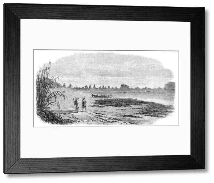 Framed Print : Scenes in Japan: the harbour of Osima, at the eastern entrance of the inland sea, 1864. Creator: Unknown Framed Print : Scenes in Japan: the harbour of Osima, at the eastern entrance of the inland sea, 1864. Creator: Unknown