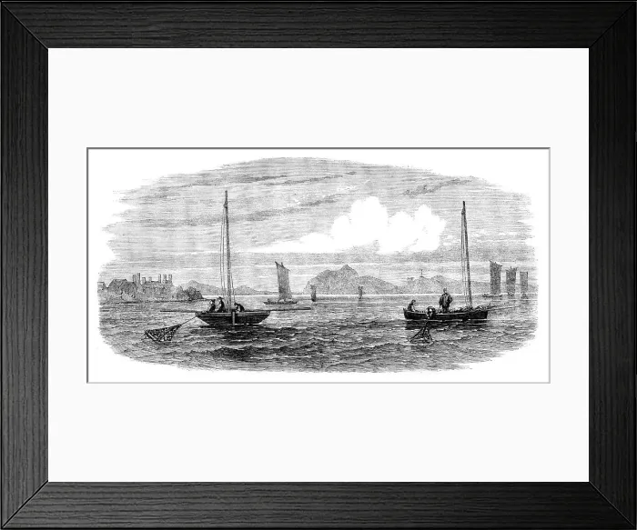 Framed Print : The Shellfish Supplies: oyster-boats dredging off Prestonpans, 1862. Creator: Unknown Framed Print : The Shellfish Supplies: oyster-boats dredging off Prestonpans, 1862. Creator: Unknown
