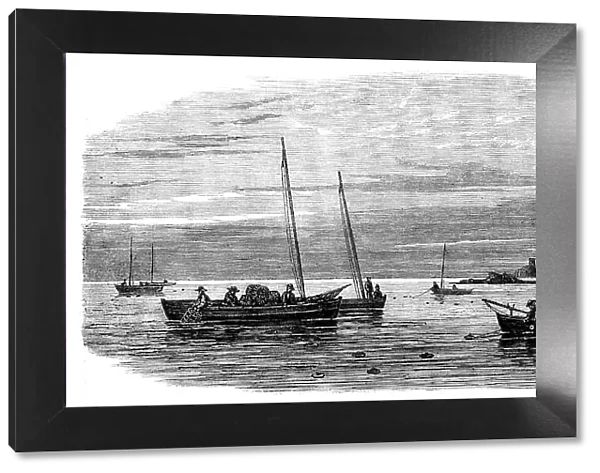 The Shellfish Supplies: crab-fishing off Fife Coast, 1862. Creator: Unknown