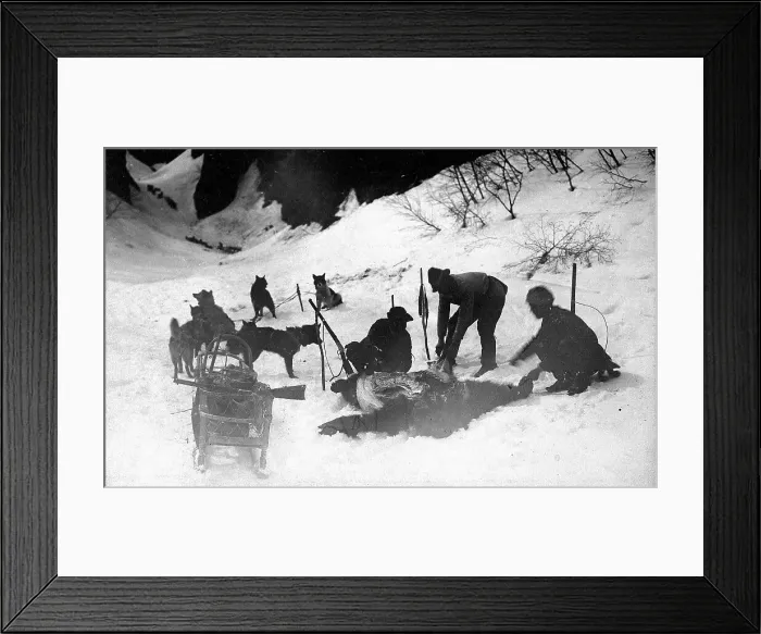 Framed Print : Hunters with a dead bear, 1910-1929. Creator: Ivan Emelianovich Larin Framed Print : Hunters with a dead bear, 1910-1929. Creator: Ivan Emelianovich Larin