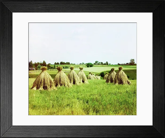 Framed Print : Harvested field, 1912. Creator: Sergey Mikhaylovich Prokudin-Gorsky Framed Print : Harvested field, 1912. Creator: Sergey Mikhaylovich Prokudin-Gorsky