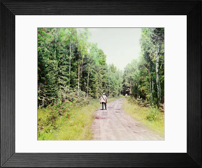 Framed Print : Study; in the forest near the Kivach waterfall. [Suna River], 1915. Creator: Sergey Mikhaylovich Prokudin-Gorsky