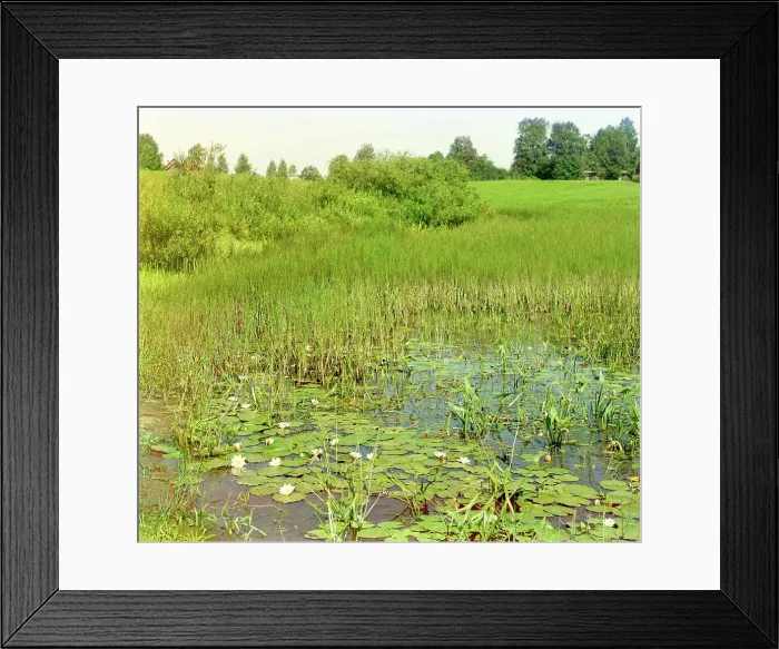Framed Print : Study of the Ustye River near Borisoglebsk, 1911. Creator: Sergey Mikhaylovich Prokudin-Gorsky Framed Print : Study of the Ustye River near Borisoglebsk, 1911. Creator: Sergey Mikhaylovich Prokudin-Gorsky