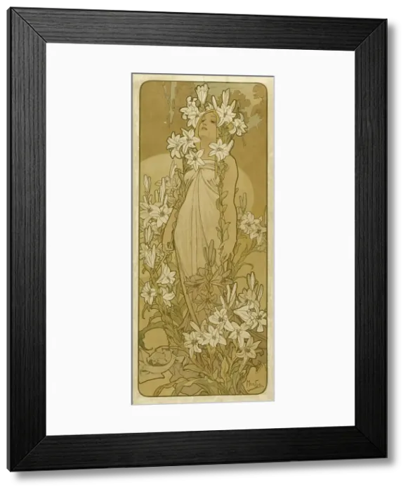Framed Print : The lily (From the Series Flowers), 1898. Creator: Mucha, Alfons Marie (1860-1939) Framed Print : The lily (From the Series Flowers), 1898. Creator: Mucha, Alfons Marie (1860-1939)