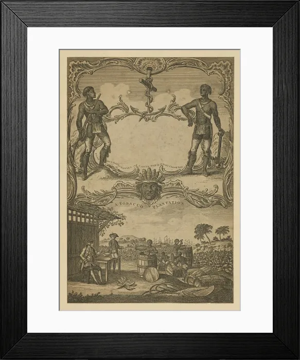 Framed Print : A tobacco plantation, 1745. Creator: Unknown artist Framed Print : A tobacco plantation, 1745. Creator: Unknown artist