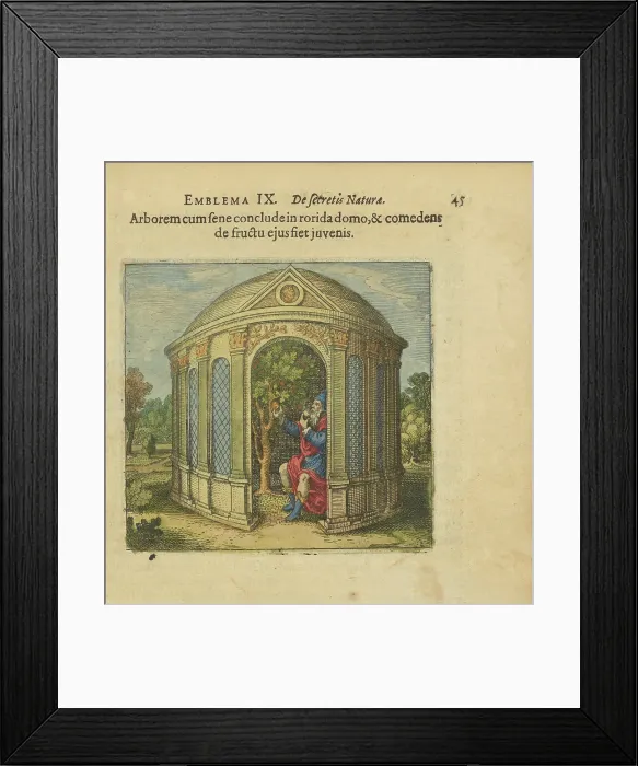 Framed Print : Emblem 9. Lock the tree and the old man in a house full of dew, and whoever eats its fruit... 1618. Creator: Merian, Matthäus, the Elder (1593-1650) Framed Print : Emblem 9. Lock the tree and the old man in a house full of dew, and whoever eats its fruit... 1618. Creator: Merian, Matthäus, the Elder (1593-1650)