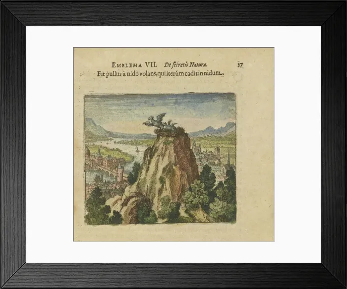 Framed Print : Emblem 7. The young bird flies from the nest and falls back into the nest, 1618. Creator: Merian, Matthäus, the Elder (1593-1650) Framed Print : Emblem 7. The young bird flies from the nest and falls back into the nest, 1618. Creator: Merian, Matthäus, the Elder (1593-1650)