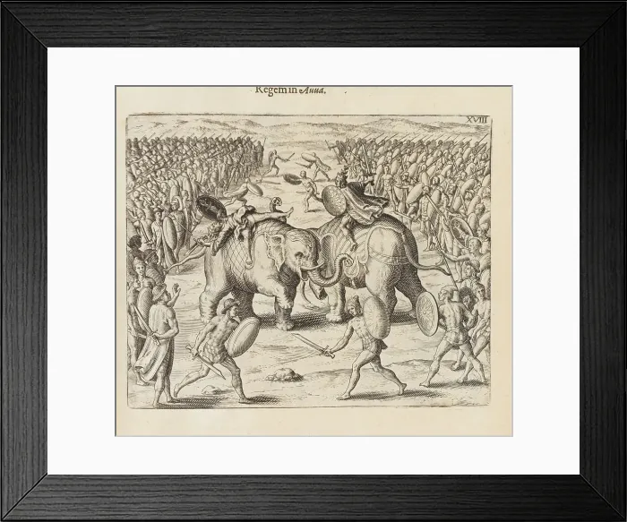 Framed Print : From Indiae orientalis pars septima, 1601-1604. Creator: Bry, Johann Theodor de (1561-1623). From Indiae orientalis pars septima, 1601-1604. Creator: Bry, Johann Theodor de (1561-1623)