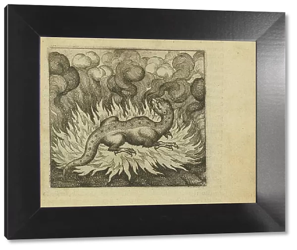 Emblem 29. As the salamander lives in fire, so does the stone, 1618. Creator: Merian, Matthäus, the Elder (1593-1650)