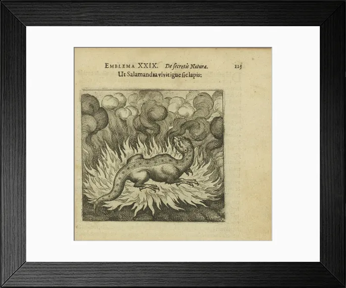 Framed Print : Emblem 29. As the salamander lives in fire, so does the stone, 1618. Creator: Merian, Matthäus, the Elder (1593-1650) Framed Print : Emblem 29. As the salamander lives in fire, so does the stone, 1618. Creator: Merian, Matthäus, the Elder (1593-1650)