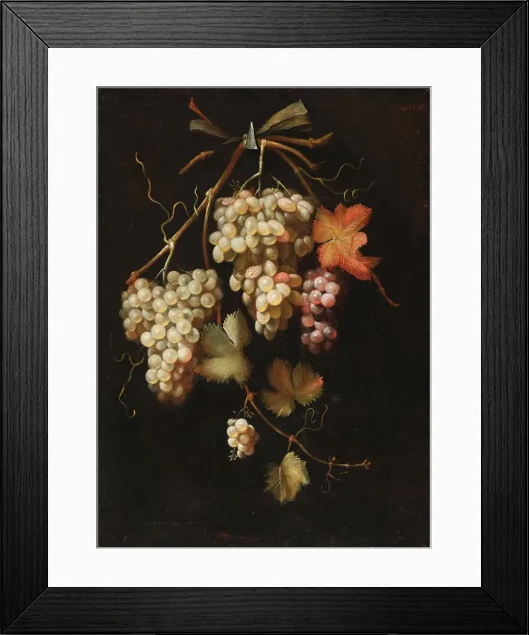 Framed Print : Arrangement of dark and white grapes. Creator: Everbroeck, Frans van (1637 / 39-1676 / 93) Framed Print : Arrangement of dark and white grapes. Creator: Everbroeck, Frans van (1637 / 39-1676 / 93)