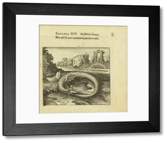 Framed Print : Emblem 14. This is the dragon eating its own tail. From Atalanta fugiens by Michael Maier, 1618. Creator: Merian, Matthäus, the Elder (1593-1650). Emblem 14. This is the dragon eating its own tail Framed Print : Emblem 14. This is the dragon eating its own tail. From Atalanta fugiens by Michael Maier, 1618. Creator: Merian, Matthäus, the Elder (1593-1650). Emblem 14. This is the dragon eating its own tail