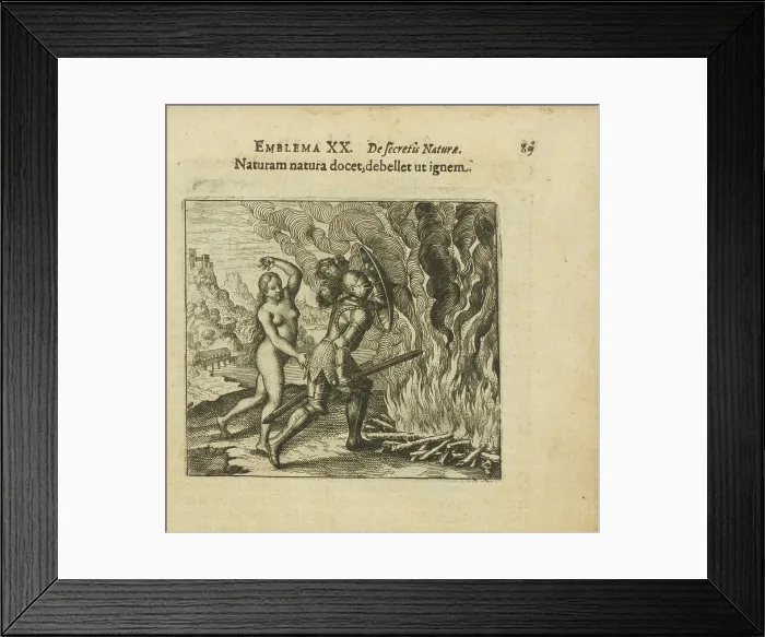 Framed Print : Emblem 20. Nature teaches nature to overcome fire. From Atalanta fugiens by Michael Maier, 1618. Creator: Merian, Matthäus, the Elder (1593-1650). Emblem 20. Nature teaches nature to overcome fire Framed Print : Emblem 20. Nature teaches nature to overcome fire. From Atalanta fugiens by Michael Maier, 1618. Creator: Merian, Matthäus, the Elder (1593-1650). Emblem 20. Nature teaches nature to overcome fire