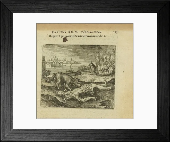 Framed Print : Emblem 24. The wolf ate the king, and how he burned the life back to him, 1618. Creator: Merian, Matthäus, the Elder (1593-1650) Framed Print : Emblem 24. The wolf ate the king, and how he burned the life back to him, 1618. Creator: Merian, Matthäus, the Elder (1593-1650)