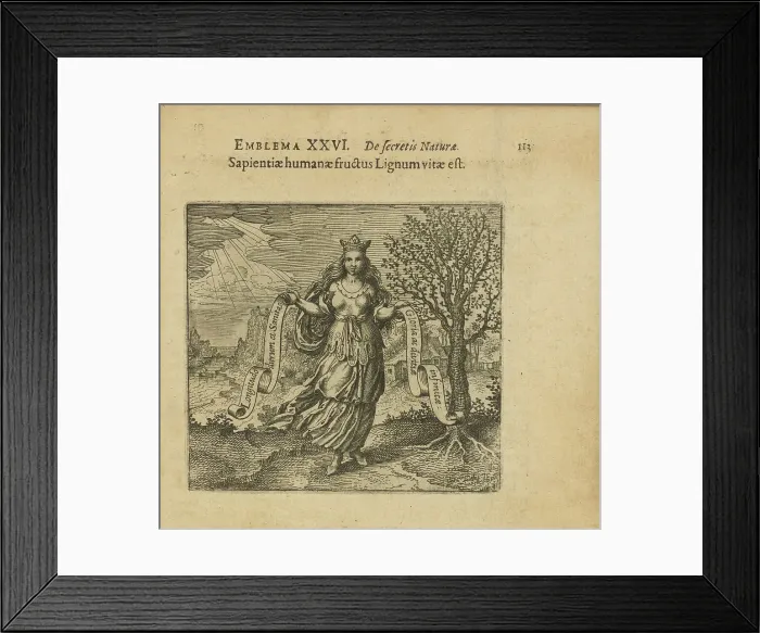 Framed Print : Emblem 26. The fruit of human wisdom is the wood of life, 1618. Creator: Merian, Matthäus, the Elder (1593-1650) Framed Print : Emblem 26. The fruit of human wisdom is the wood of life, 1618. Creator: Merian, Matthäus, the Elder (1593-1650)