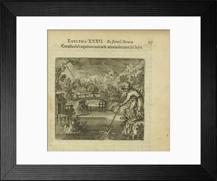 Framed Print : Emblem 32. The coral as it grows under the water and is hardened by air, so does the stone, 1816. Creator: Merian, Matthäus, the Elder (1593-1650) Framed Print : Emblem 32. The coral as it grows under the water and is hardened by air, so does the stone, 1816. Creator: Merian, Matthäus, the Elder (1593-1650)