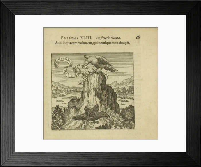 Framed Print : Emblem 43. Listen to the talking vulture, who in no way deceives you, 1816. Creator: Merian, Matthäus, the Elder (1593-1650) Framed Print : Emblem 43. Listen to the talking vulture, who in no way deceives you, 1816. Creator: Merian, Matthäus, the Elder (1593-1650)