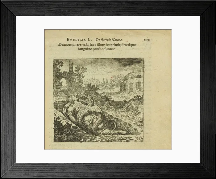 Framed Print : Emblem 50. The dragon killed the woman and she killed him, and both are covered in blood, 1816. Creator: Merian, Matthäus, the Elder (1593-1650) Framed Print : Emblem 50. The dragon killed the woman and she killed him, and both are covered in blood, 1816. Creator: Merian, Matthäus, the Elder (1593-1650)