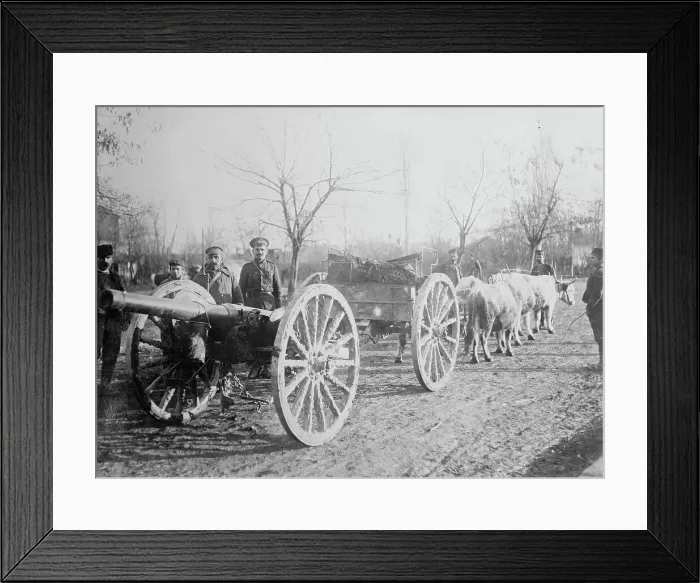 Framed Print : Field gun drawn by oxen, Serbia, between c1915 and c1920. Creator: Bain News Service Framed Print : Field gun drawn by oxen, Serbia, between c1915 and c1920. Creator: Bain News Service