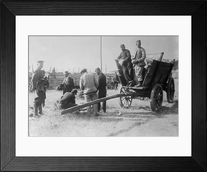 Framed Print : Wynsdorf (Zossen), French prisoners receiving cabbages, 7 Jan 1915. Creator: Bain News Service Framed Print : Wynsdorf (Zossen), French prisoners receiving cabbages, 7 Jan 1915. Creator: Bain News Service